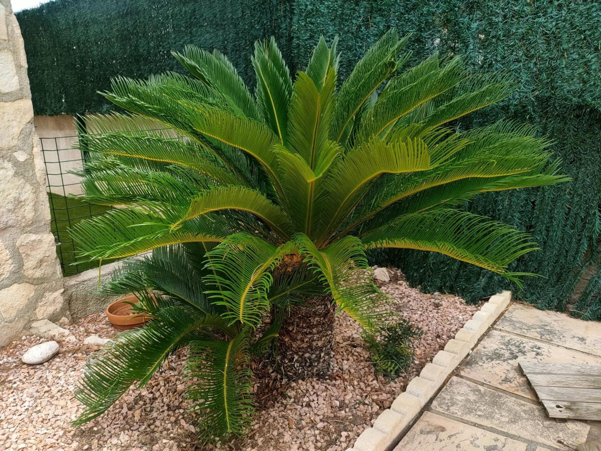 הוילה Les Tres Cales Casa Coco מראה חיצוני תמונה